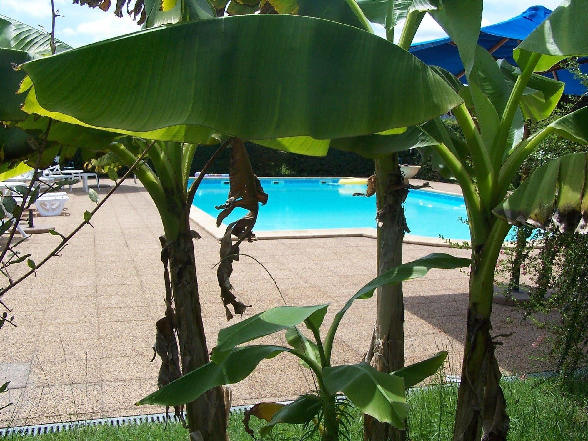 Le Relais Des 5 Chateaux 3*